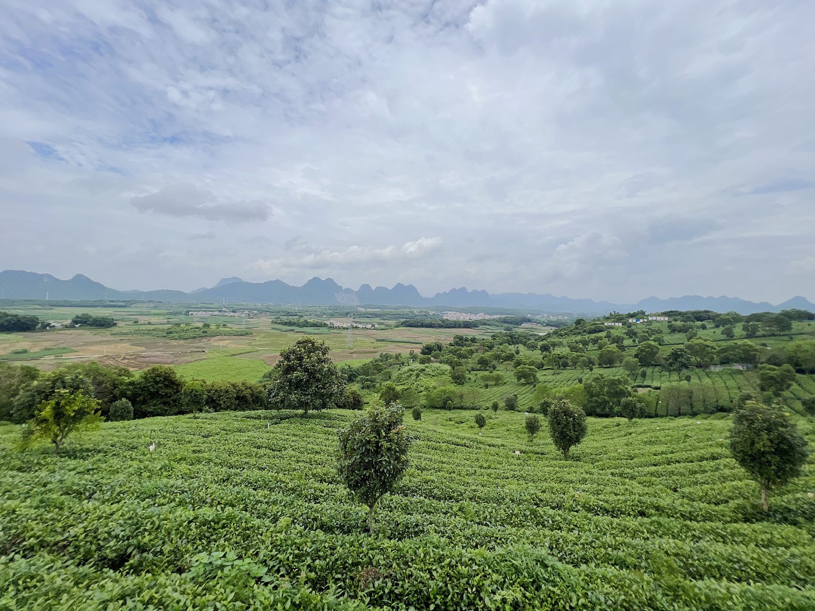 Landscaped view in Jiulong Ecological Town